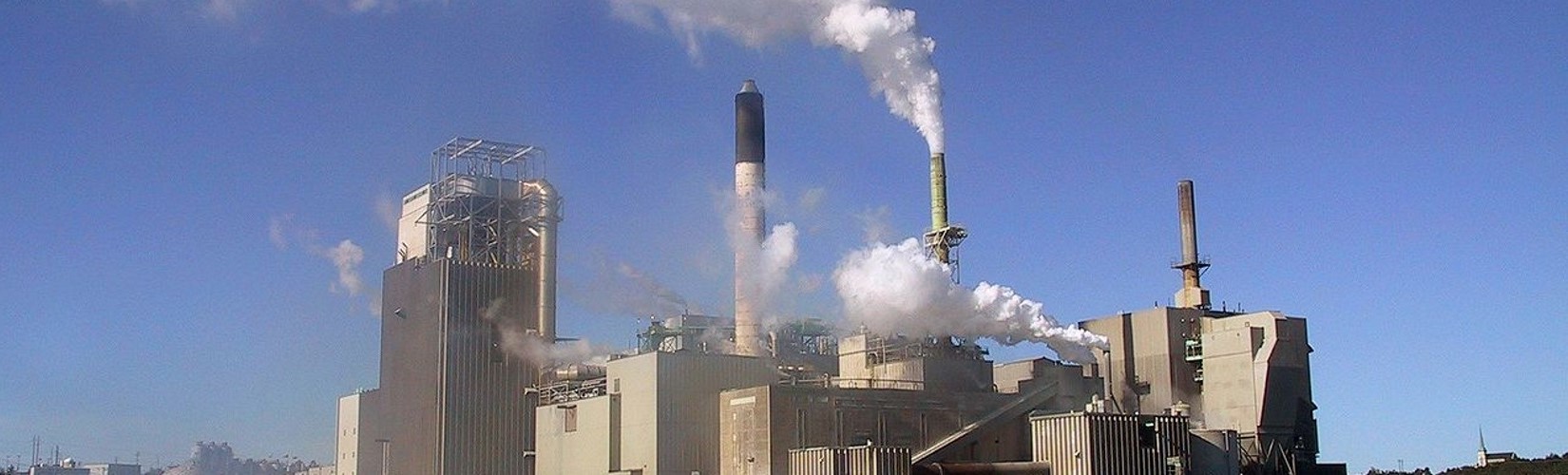 Pulp and Paper