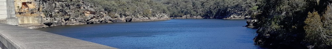 banner-image